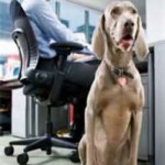 permissions in the workplace