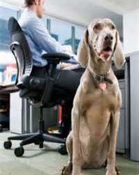 permissions in the workplace
