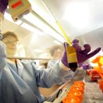chemical accidents