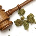 cannabis law