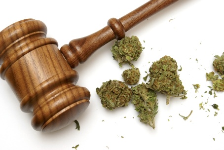 What the Average Person Needs to Know About Cannabis Law