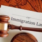 choosing immigration lawyer