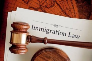 choosing immigration lawyer