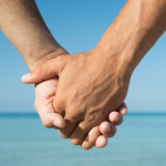 domestic partnership