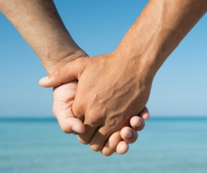 domestic partnership