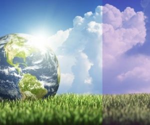 environmental law