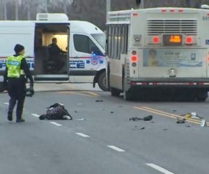 struck by bus