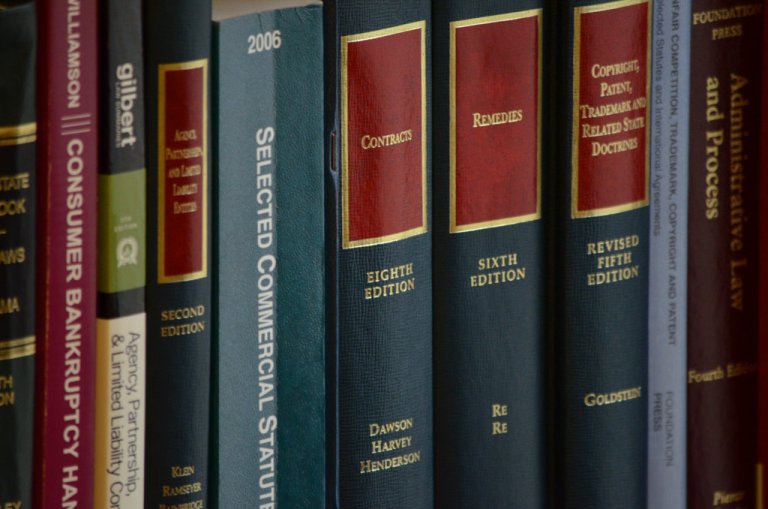 3 Reasons Why Go To Professionals When Translating Legal Documents 
