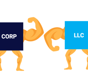 LLC or Corporation
