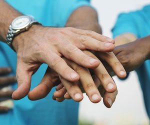 non-profit organization