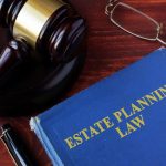 seek estate litigation