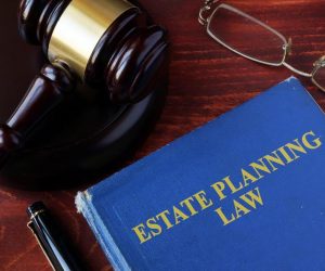 seek estate litigation