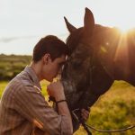Bury a Horse